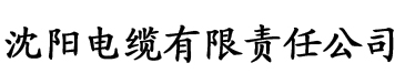 精品国产亚洲第一区二区三区电缆厂logo